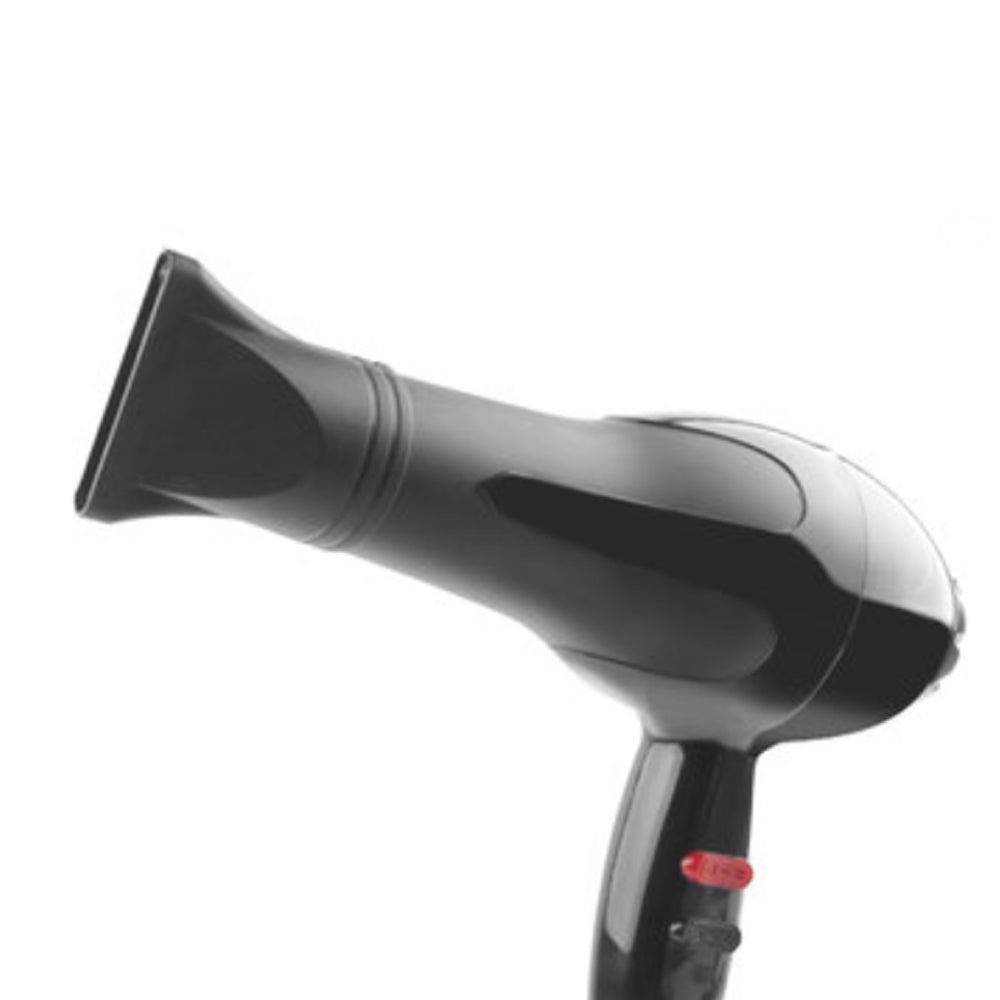 1500 Watts Professional Hair Dryer 2888 (Black)