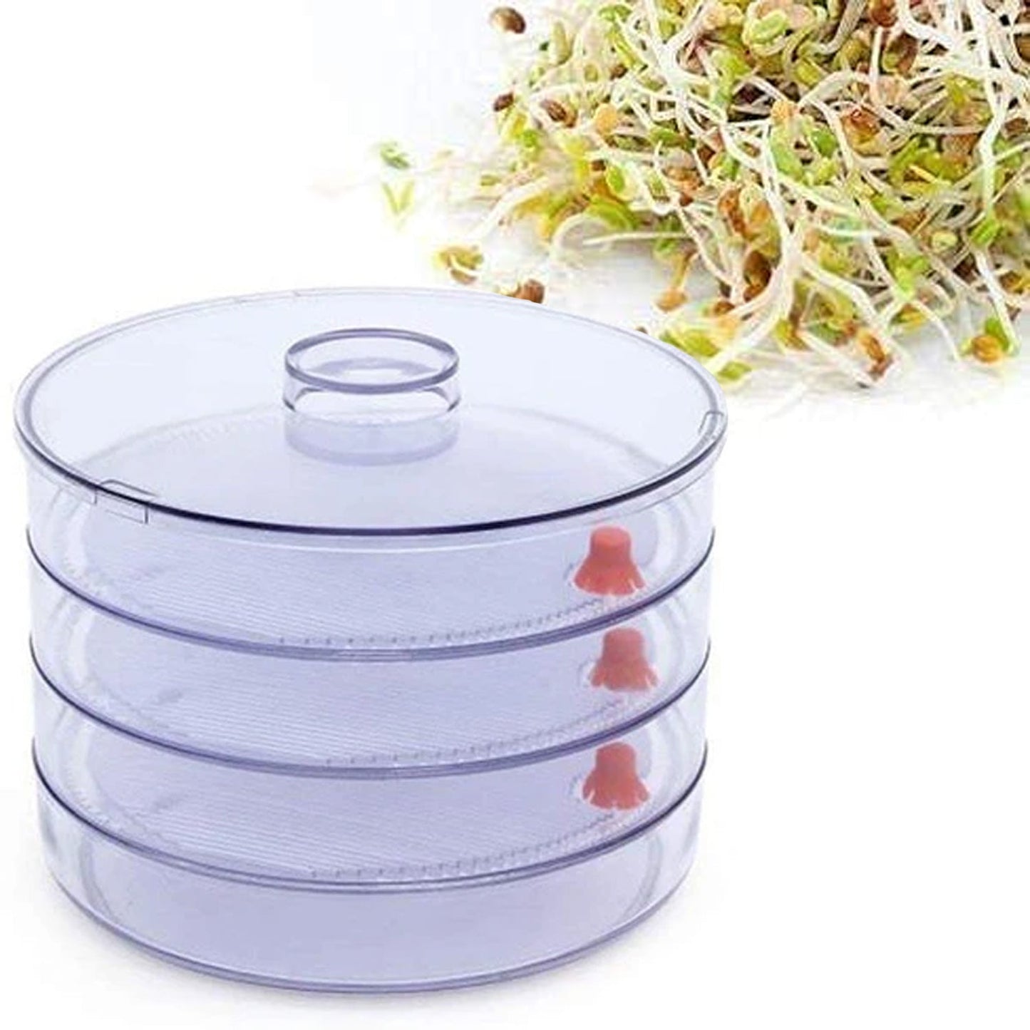 Plastic 4 Compartment Sprout Maker, White