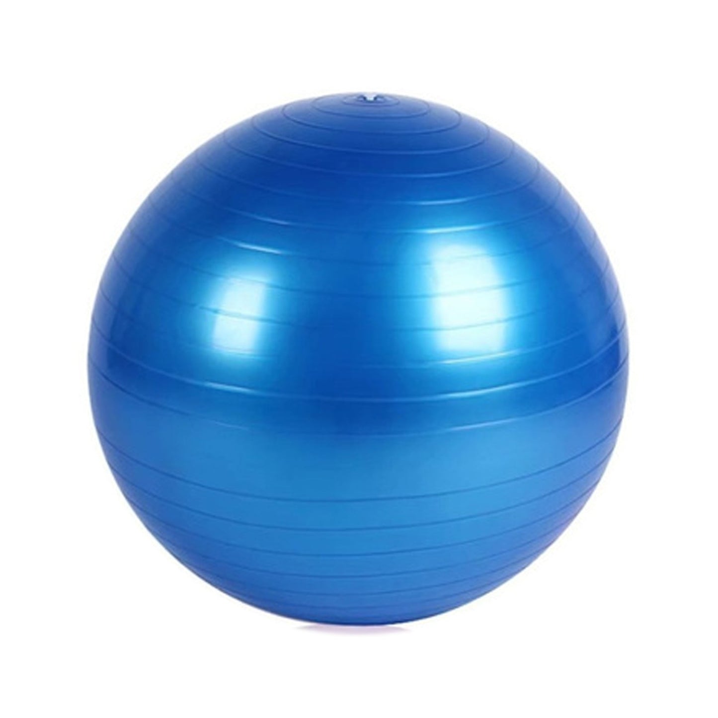 Anti-Burst Exercise Heavy Duty Gym Ball (Multicolour) (75Cm)