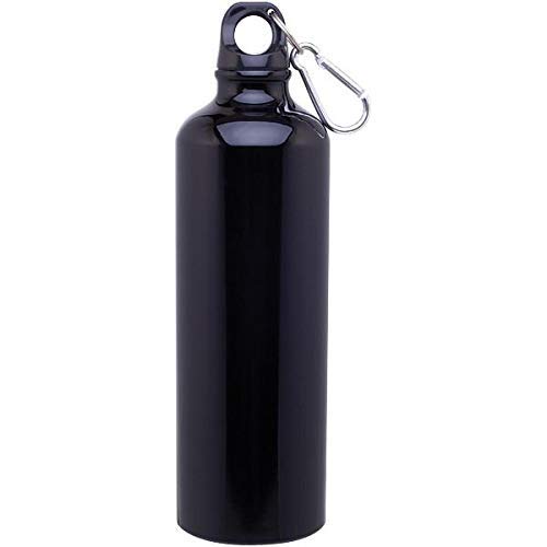 Stainless Steel Fancy Water Bottle (500 ml)